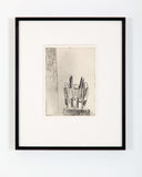 Limited Edition Etchings - H