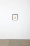 Limited Edition Etchings - 6H